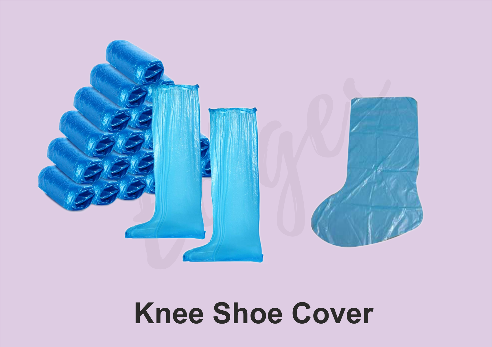 shoe image