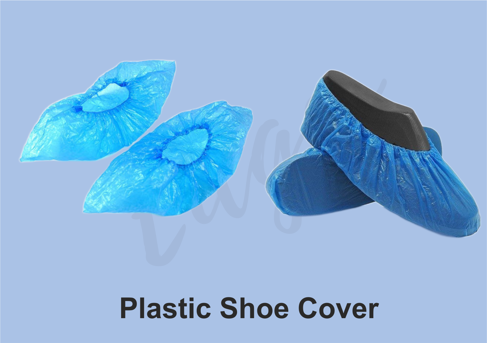 shoe image